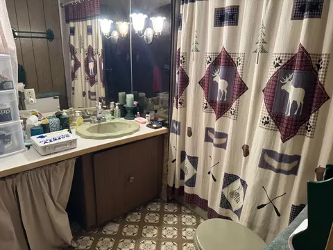 112 Tuttle Dr, Mio, MI 48647 photo 9