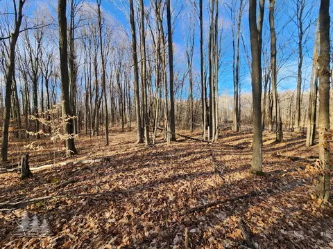 M-32, Atlanta, MI 49709