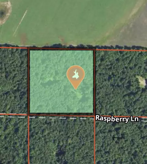 Undisclosed, Elmira, MI 49730