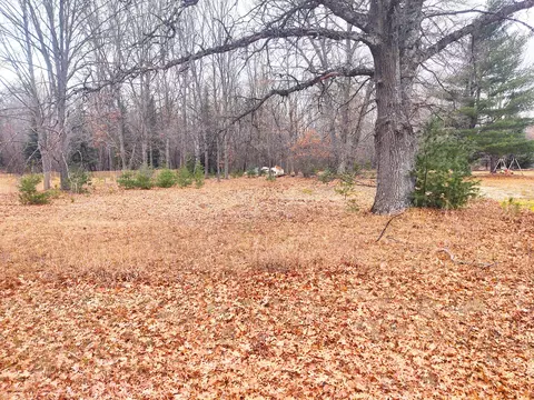 Iroquois Drive, Atlanta, MI 49709