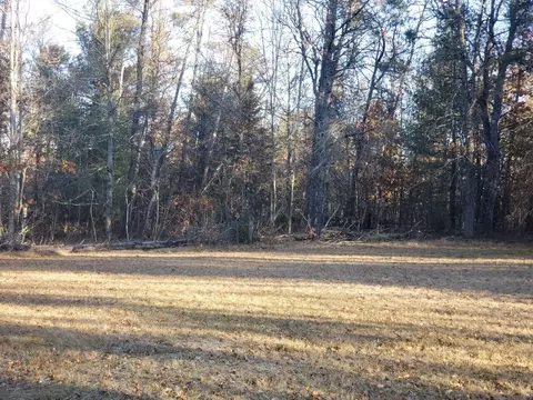 5217 Blazed Trail Roscommon Mi 48653 Trl, Roscommon, MI 48653 photo 5