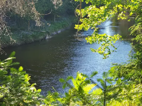 lot11 S River Lane 64 Ac Millersburg Mi 49759 Ln #6.4 AC, Millersburg, MI 49759