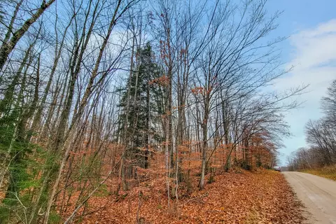 lot70 Andergood Road 94 Ac Lewiston Mi 49756 Rd #9.4 AC, Lewiston, MI 49756