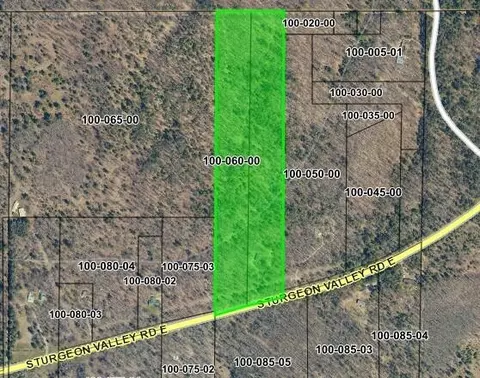 7802 E Sturgeon Valley Road Vanderbilt Mi 49795 Rd, Vanderbilt, MI 49795 photo 29