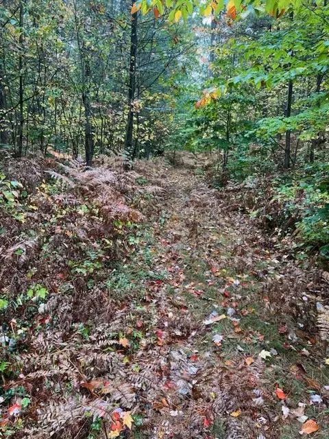 7802 E Sturgeon Valley Road Vanderbilt Mi 49795 Rd, Vanderbilt, MI 49795 photo 33