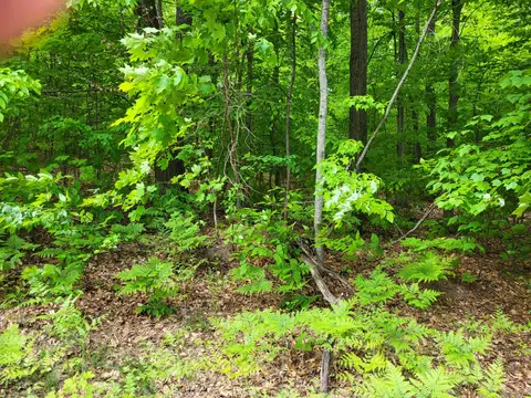 lot S 993 994 Arawak Gaylord Mi 49735, Gaylord, MI 49735