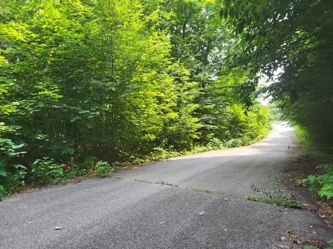 lot Apt 31 Cubs Way Vanderbilt Mi 49795, Vanderbilt, MI 49795 photo 2