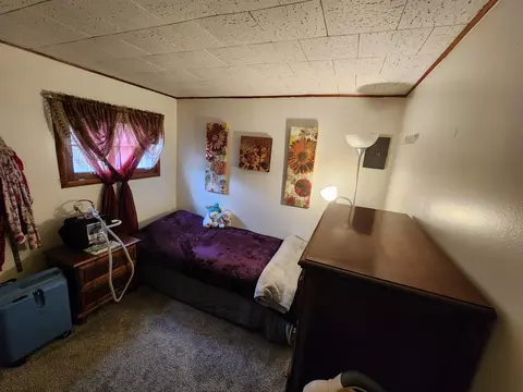 120 Cass Street Mio Mi 48647 St, Mio, MI 48647 photo 24