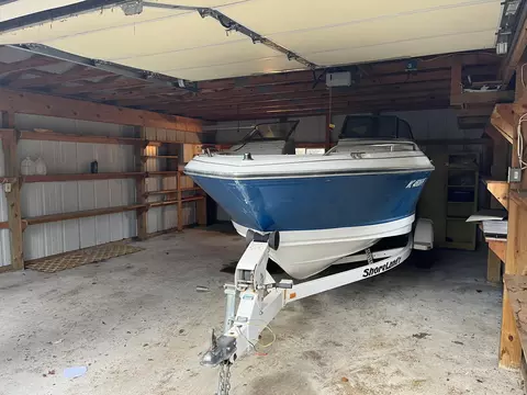 8153 Maple Street Vanderbilt Mi 49795 St, Vanderbilt, MI 49795 photo 7