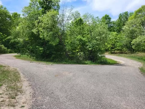 20 Woodley Court Elmira Mi 49730 Ct, Elmira, MI 49730