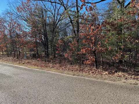 lot21 22 Berry Lane Indian River Mi 49749 Ln, Indian River, MI 49749