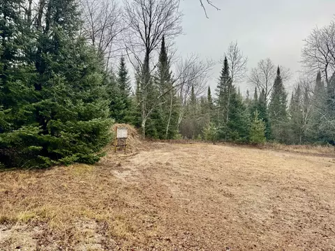 2610 Steiner Road Comins Mi 48619 Rd, Comins, MI 48619 photo 34