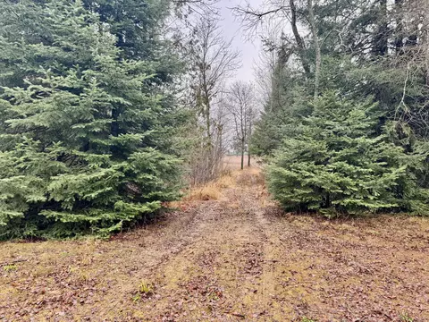 2610 Steiner Road Comins Mi 48619 Rd, Comins, MI 48619 photo 35