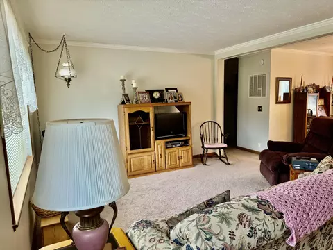 2610 Steiner Road Comins Mi 48619 Rd, Comins, MI 48619 photo 20