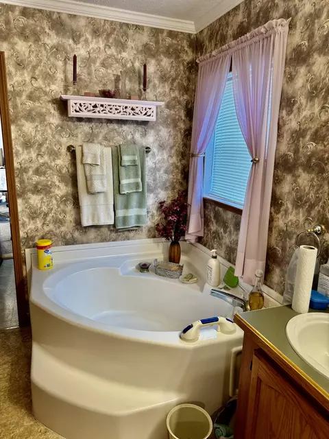 2610 Steiner Road Comins Mi 48619 Rd, Comins, MI 48619 photo 32