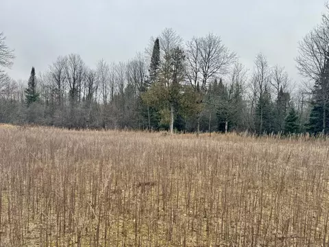 2610 Steiner Road Comins Mi 48619 Rd, Comins, MI 48619 photo 38