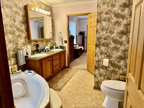 2610 Steiner Road Comins Mi 48619 Rd, Comins, MI 48619 photo 31