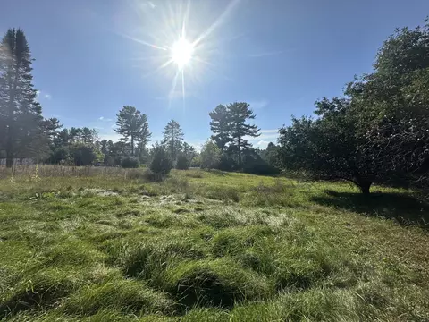 2523 Pine River Trl, Mikado, MI 48745