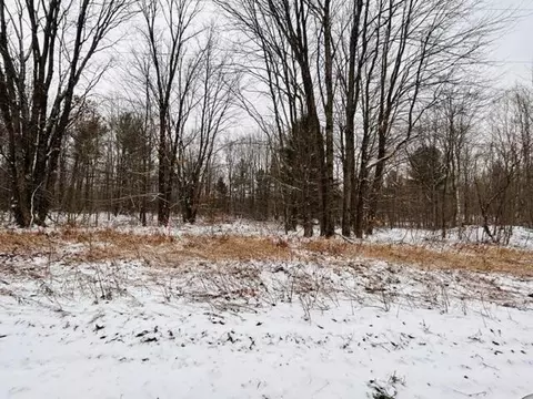 7675 Macatawa Trail Gaylord Mi 49735 Trl, Gaylord, MI 49735