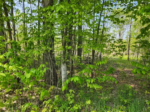 Parcel 8 Old M-32 Grade Road, Hillman, MI 49746
