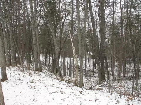 lot Apt 15 Caulkins Lake Road Johannesburg Mi 49751 Rd, Johannesburg, MI 49751