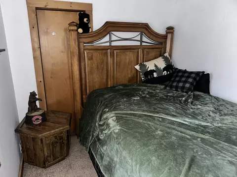 5260 Rose St, Gladwin, MI 48624 photo 10
