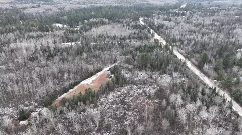 lot1 Funk Road 20-acres Hillman Mi 49746 Rd #20-ACRES, Hillman, MI 49746