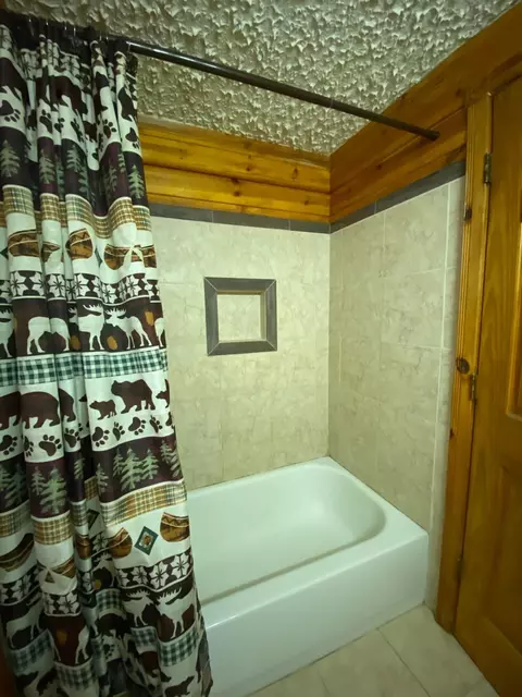 2420 Cedar Run Rd, Mio, MI 48647 photo 15