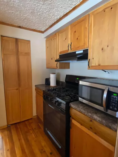 2420 Cedar Run Rd, Mio, MI 48647 photo 4
