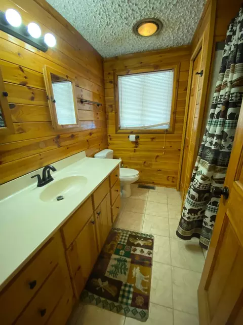 2420 Cedar Run Rd, Mio, MI 48647 photo 14