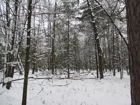 Trem Pal Road, Grayling, MI 49738