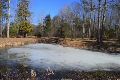 3539 Piper Rd, Alpena, MI 49707 photo 21