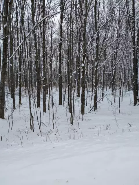 Acacia Drive, Mancelona, MI 49659