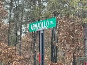 armadillo trail, Grayling, MI 49738