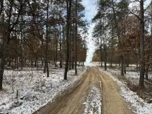 Armadillo Trail, Grayling, MI 49738 photo 4