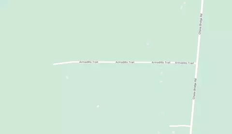 Armadillo Trail, Grayling, MI 49738 photo 2