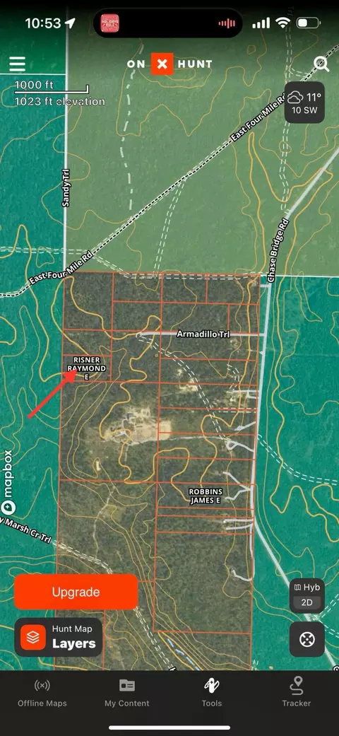 Armadillo Trail, Grayling, MI 49738 photo 3