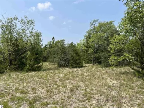 NE Plum Valley Road, Mancelona, MI 49659