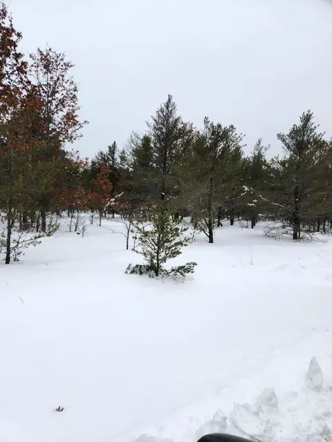 Trapper's Trail, Grayling, MI 49738 photo 4