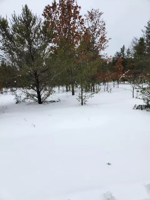 Trapper's Trail, Grayling, MI 49738 photo 5