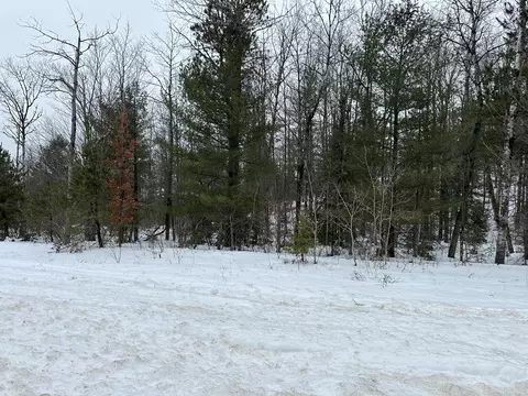 Wayland Drive, Frederic, MI 49733 photo 2