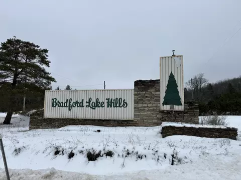 Wayland Drive, Frederic, MI 49733 photo 3