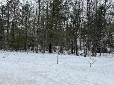 Wayland Drive, Frederic, MI 49733