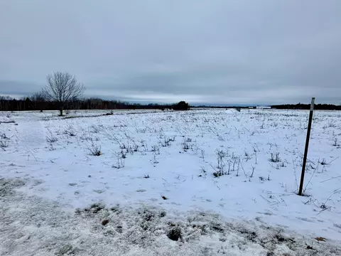 Mullett View Drive, Cheboygan, MI 49721
