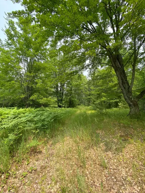 5180 N Weaver Road Comins Mi 48619 Rd, Comins, MI 48619 photo 24