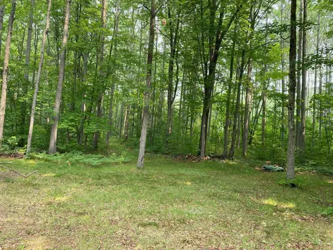 5180 N Weaver Road Comins Mi 48619 Rd, Comins, MI 48619 photo 22