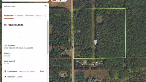 5180 N Weaver Road Comins Mi 48619 Rd, Comins, MI 48619 photo 27