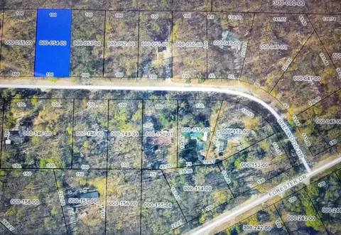 Sherwood Drive, Frederic, MI 49733