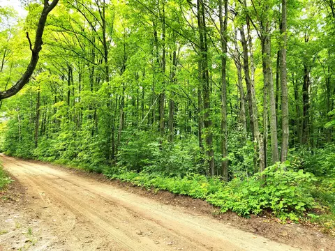 3427 Tower Road 10 Acres Pellston Mi 49769 Rd #10 ACRES, Pellston, MI 49769