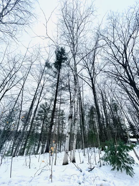 lot Apt 8 Arrowroot Trail Gaylord Mi 49735 Trl, Gaylord, MI 49735